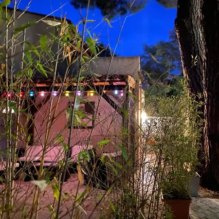 Giambattista - Ste Maxime